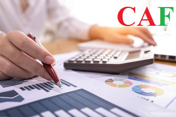 Bảng giá dịch vụ báo cáo thuế mà công ty CAF thực hiện
