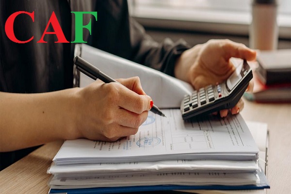 Bảng giá dịch vụ kế toán thuế ở TP Tân An tỉnh Long An mà Công ty dịch vụ kế toán báo cáo thuế CAF đang cung cấp