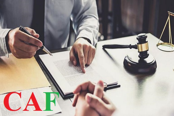 CAF thực hiện việc công việc lập tờ khai và báo cáo thuế cho doanh nghiệp định kỳ