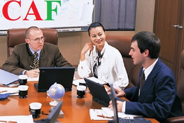 Giới thiệu về công ty dịch vụ kế toán kiểm toán CAF