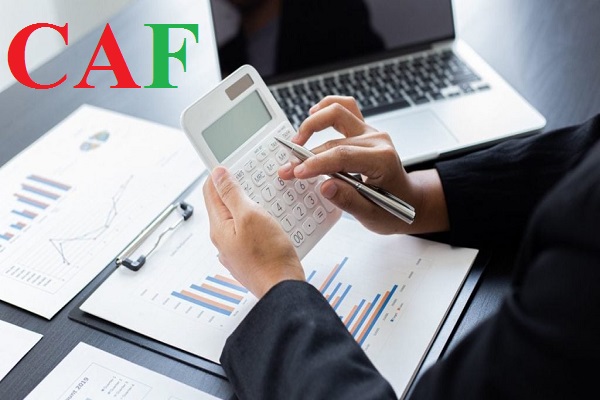 Nội dung dịch vụ kế toán trọn gói, dịch vụ khai báo thuế gtgt ở quận 11 hcm mà CAF thực hiện