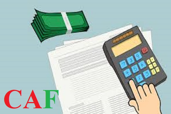 Vì sao chọn Công ty CAF kiểm toán báo cáo tài chính tại Đồng Nai