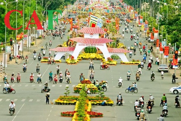Phí thuê kiểm toán và tư vấn ở tỉnh Tiền Giang  