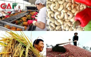 Thuế suất thuế giá trị gia tăng hàng nông sản năm 2026